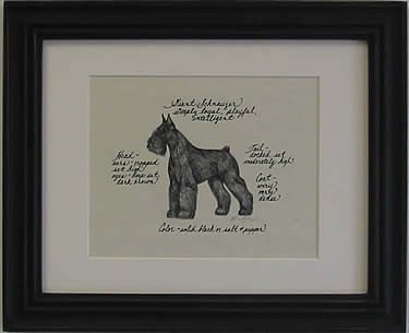Giant Schnauzer
