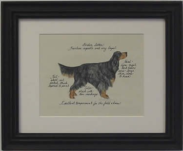 Gordon Setter