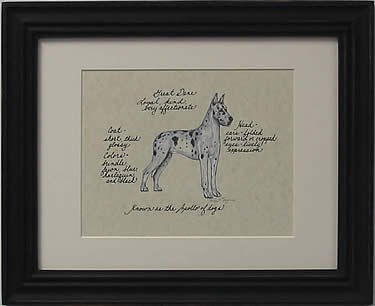 Great Dane, Harlequin Cropped Ears