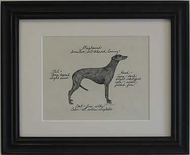 Greyhound, Black