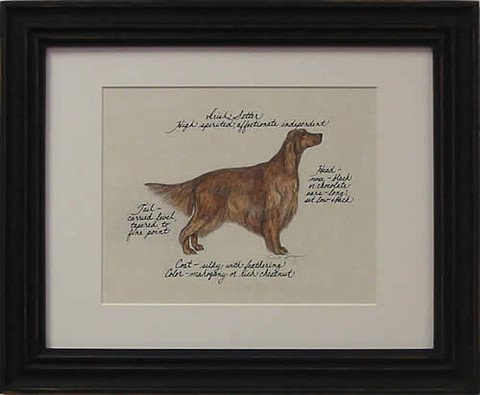 Irish Setter