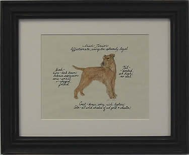 Irish Terrier