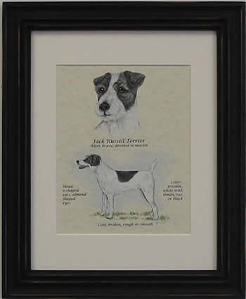Jack Russell Rough Black & White-Stack