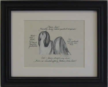Lhasa Apso Grey