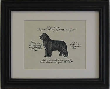 Newfoundland