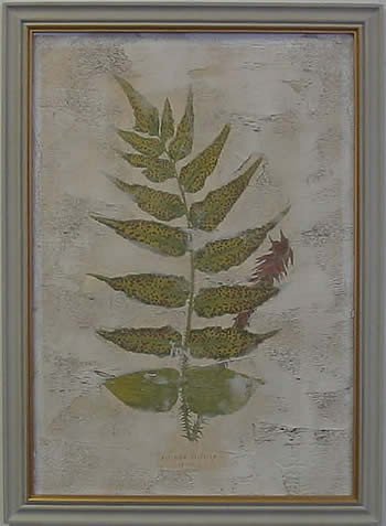 Fern Fresco III
