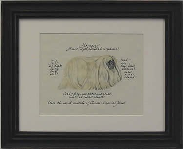 Pekingese