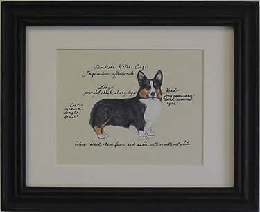 Pembroke Welsh Corgi, Tri
