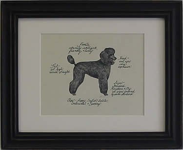 Poodle, Black Puppy Cut