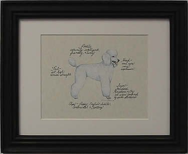 Poodle, White Puppy Cut