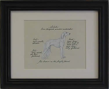 Saluki