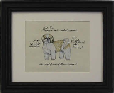 Shih Tzu Blonde Puppy Cut