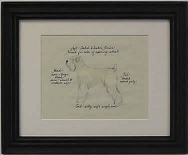 Soft Coated Wheaten Terrier