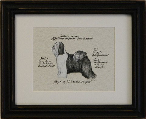 Tibetan Terrier, Black & White