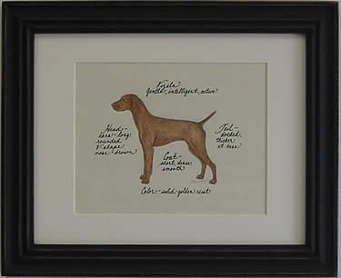Vizsla
