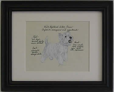 West Highland Terrier