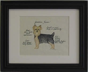 Yorkshire Terrier Puppy Cut