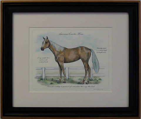 American Quarter Horse