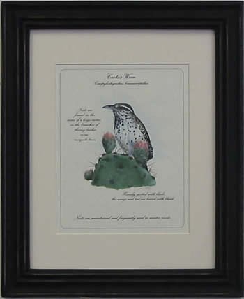Cactus Wren