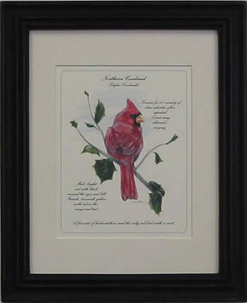 Cardinal