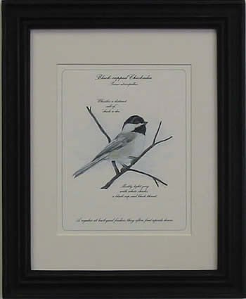 Chicadee