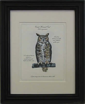 Great Horned Owl