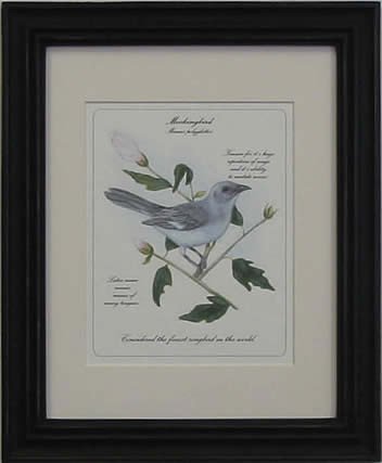 Mockingbird