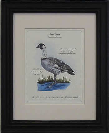 Nene Goose