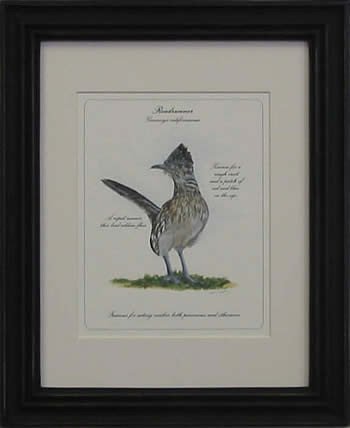 Roadrunner