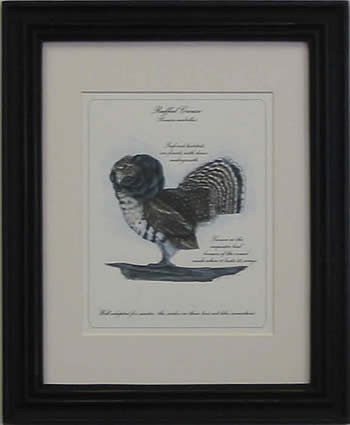 Ruffled Grouse