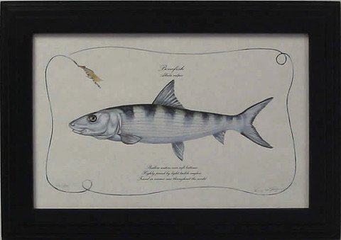 Bonefish