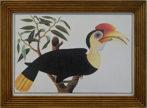 Ke Ke Birds of Malaca