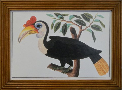 Ingang Birds of Malaca