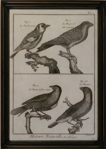Historie Naturelle Orinthologie I