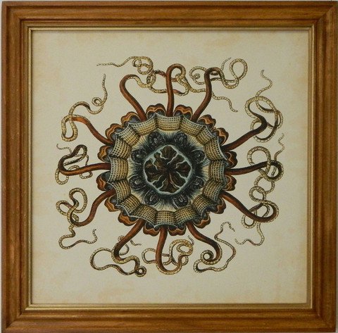 Gems of the Sea I