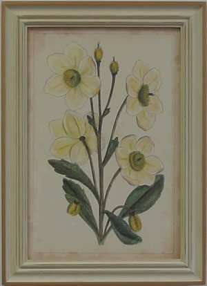 Curtis Blooms White II - Pussywillow Frame