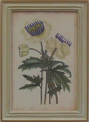 Curtis Blooms White III - Pussywillow Frame