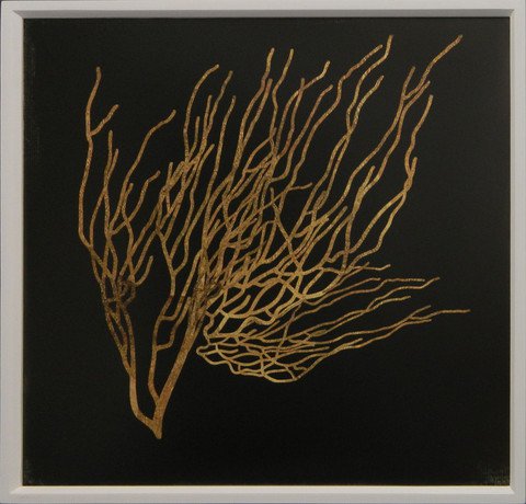 Gold Coral I