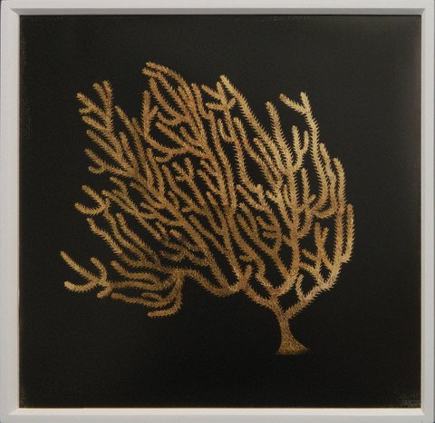 Gold Coral II
