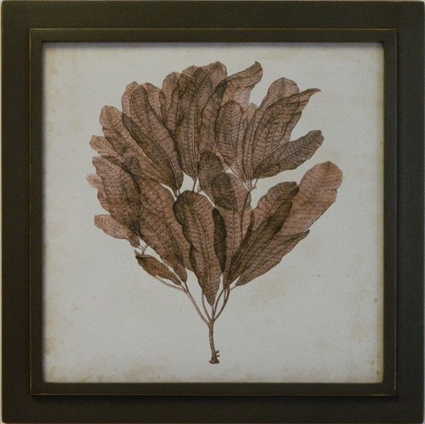 Vintage Seaweed I
