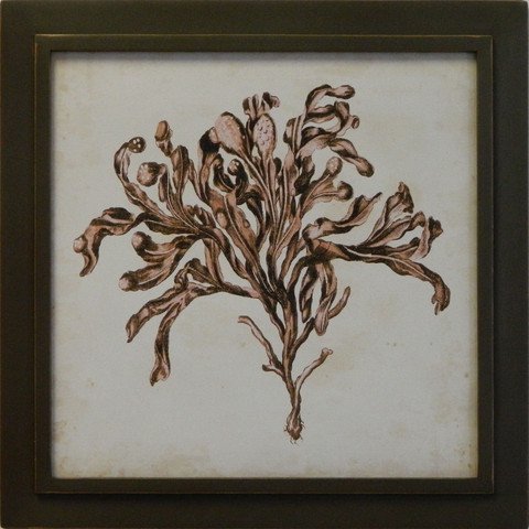 Vintage Seaweed II