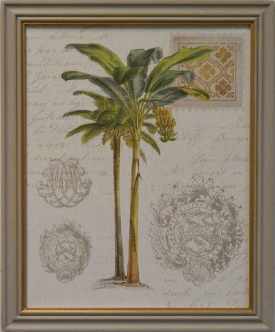 Vintage Palm Study I