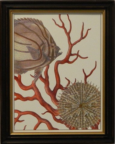 Coastal Collection I