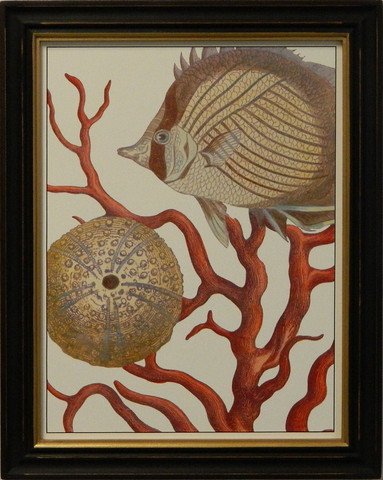 Coastal Collection II