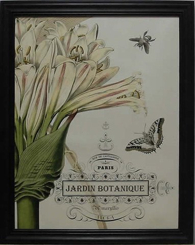 Jardine Botanique I