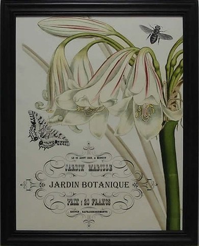 Jardine Botanique II