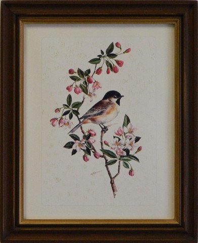 Vintage Songbird Reproduction I