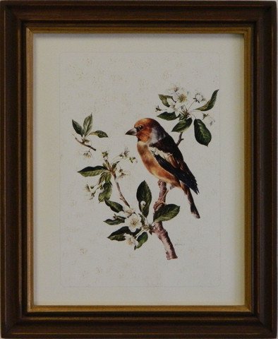 Vintage Songbird Reproduction II