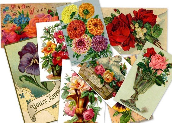 DVD 500 Victorian Vintage FLORAL ILLUSTRATIONS art images, pictures, scans