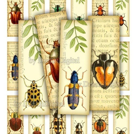 Insect Digital Collage Sheet, 1 x 3 inch, Bugs, Digital , Printable Insects